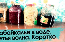 Наводнение-2021. Третья волна. Сюжет без слов.