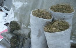 Забайкальцы пытались выдать 12 кг марихуаны за мешки с сеном
