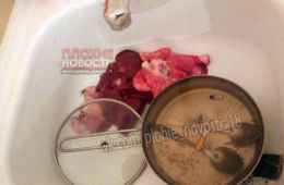 В микрорайоне Молодежный на КСК в квартире ели собак - соцсети