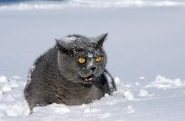 В Забайкалье в ночь на 8-е ноября ожидается мороз 