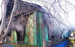 Следователи возбудили уголовное дело из-за гибели ребёнка во время пожара в Балее 