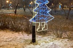 Место массового самоубийства ёлочек. Чита, пл...
