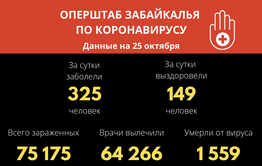 В Забайкалье выявили 325 новых случаев заражения коронавирусом за сутки