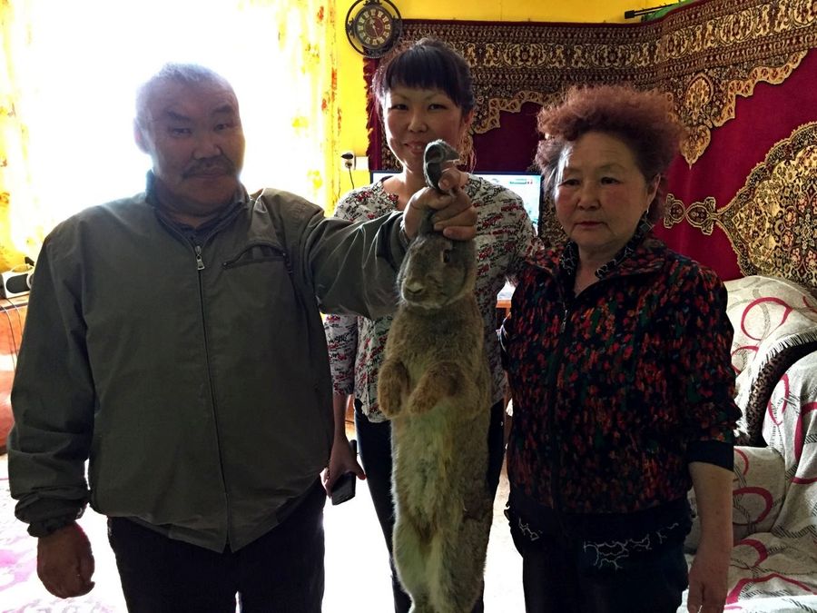 Призовой кролик добрался до подписчика «Вечорки» в Ортуй