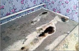 Семья из Казаново Шилкинского района задыхается от плесени