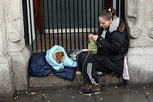 В Чите жители барака объявили массовую голодовку
