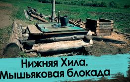 Нижняя Хила: здесь травят мышьяком 