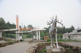 Диспетчер скорой поселка Дарасун попросила девушку с кровотечением добраться до больницы из соседнего поселка на такси