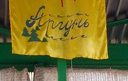 Отравились не кефиром, а просто переели, - директор лагеря 