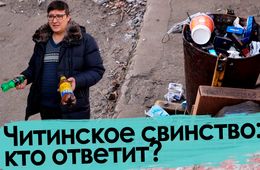 Вечорка ТВ: Читинское свинство: кто ответит?