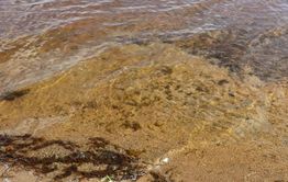 Подъем уровня воды продолжится на реках Забайкалья