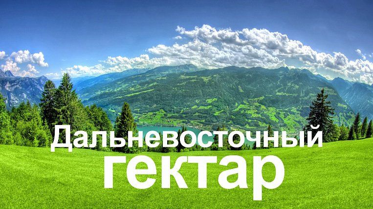 Год на Дальнем востоке. Полет нормальный.