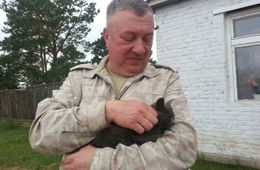 Администрация губернатора проверит информацию о прокатившем чиновников на служебном авто Гурулеве