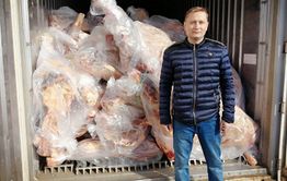​Падеж Забайкалья: Животноводы бойкотируют голосование по Конституции из-за ящурной резервации
