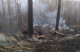Пожар больше не угрожает Угдану — минприроды