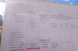 Плакаты с декларациями читинских чиновников за прошлый год разместили организаторы митинга против власти 