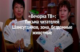 Вечорка ТВ: Письма читателей - Шамсутдинов, зона, бездомные животные