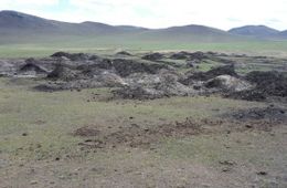 ​Разведка боем: Остались у сгоревшего корыта