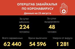 В Забайкалье выявили 224 новых случая заражения коронавирусом за сутки
