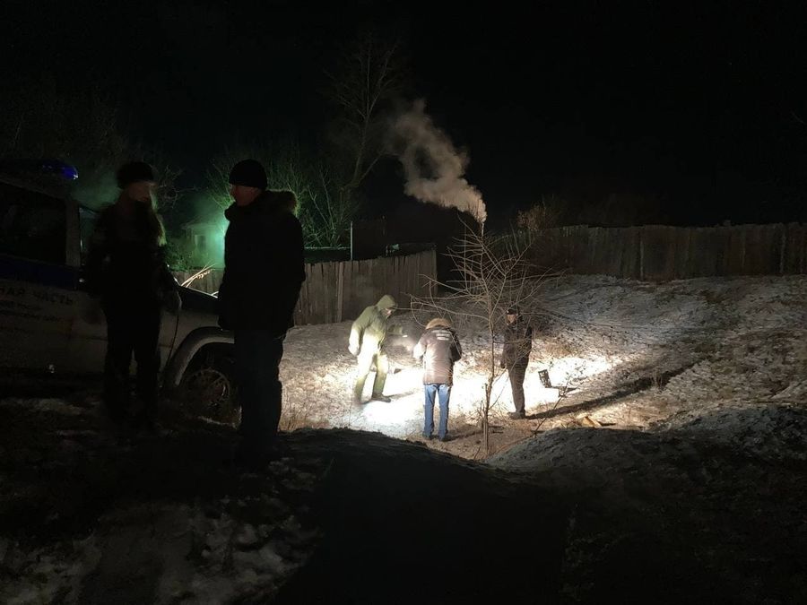 Александр Бастрыкин поручил передать уголовное дело о загрызенной собаками девочке в Главное следственное управление СК России