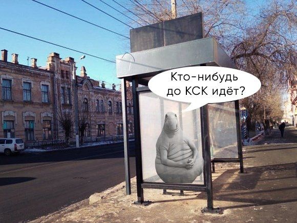 Избушка, избушка: Автобусную остановку в Чите поставили задом к дороге. Мэрия обещает развернуть ее к концу недели.