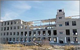 День выборов-2016: Сход граждан в Ясной закончился мордобоем