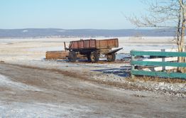 Мусорный Катаклизм Арахлея