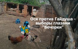 ​Шок-видео! Выборы губернатора Заяблонья глазами «Вечорки» 18+