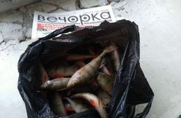 ​Закон о любительском рыболовстве вступил в силу в Новом году