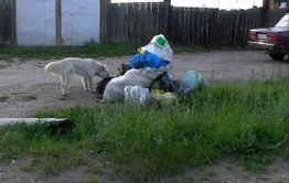 «Олерон» — мусорный генератор