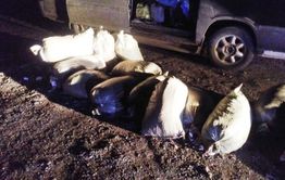 13 мешков конопли изъяли полицейские у читинца