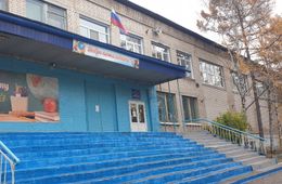 В Чите прошел митинг против вырубки сосен под строительство спортзала 