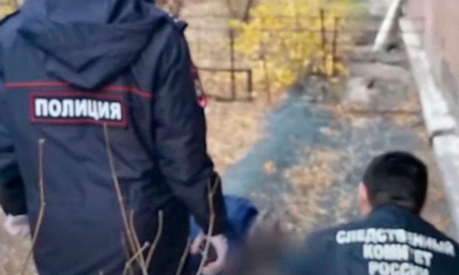 Забайкалец убил и расчленил пожилую женщину