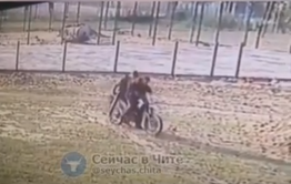 Мотоциклист сбил двухлетнего ребенка в Карымском в Забайкалье (видео)