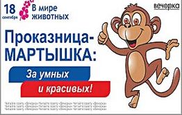 «Руки прочь!»: Неизвестные срывают рекламные баннеры «Вечорки»
