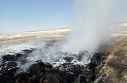В некоторых подворьях Новоцурухатуя не осталось ни головы скота - ящур