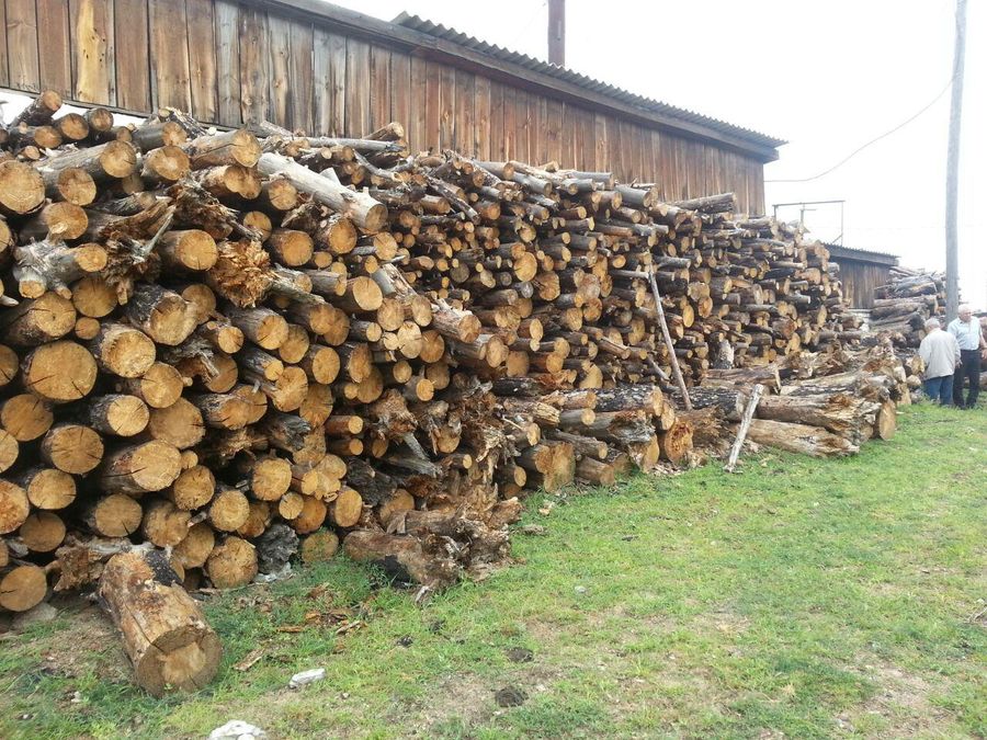 ​Дрова для котельных закончились в Нижнем Цасучее из-за вырубки горельника на месте соснового бора