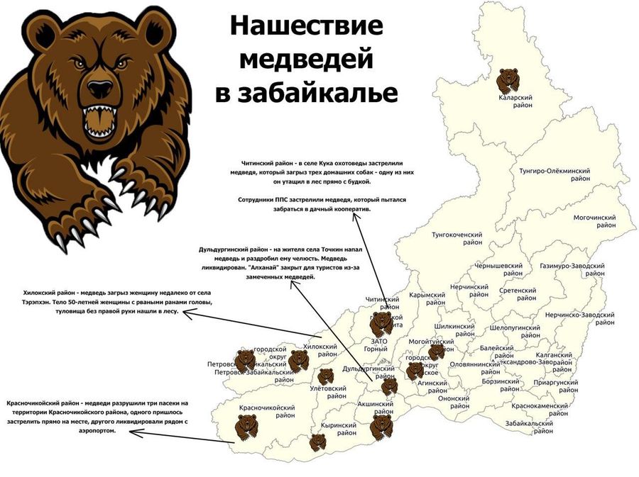 ​Медведи вышли к Мензе