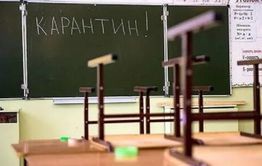 Читинских школьников отправили на карантин