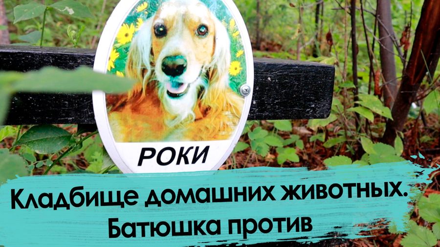Кладбище домашних животных. Чита.