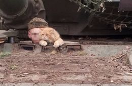 Приближаем победу вместе!