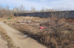 «Водоканал» сносит кладбище домашних животных в Чите	