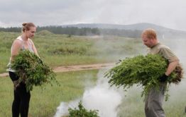 Конопляное поле сожгли под Читой
