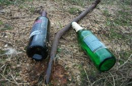 Забайкалец насмерть забил 83-летнего собутыльника трубой