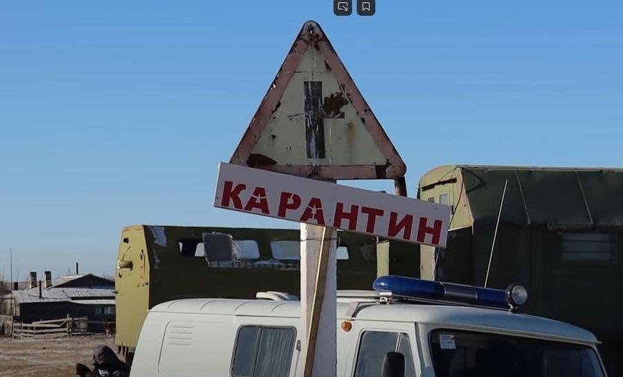 Губит коров не ящур: жители Красной Ималки говорят, что скот болен дерматитом