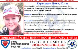 Уголовное дело возбуждено по факту пропажи 12-летней девочки в Чите