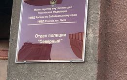 Бросал стул в окно дежурной части: читинец получил срок за то, что буянил в отделении полиции