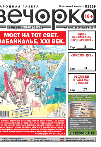 «Вечорка», №29