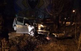 Читинец врезался в дерево на Набережной