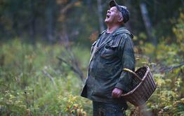 МЧС напоминают, как не заблудиться в лесу